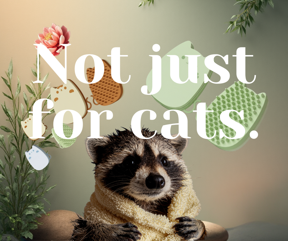Not Just For Cats — The KittyScrub Grooming Pad