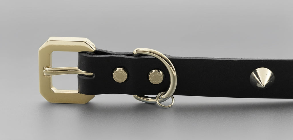 GoldSpike Elite Collar -  ObsidianGold