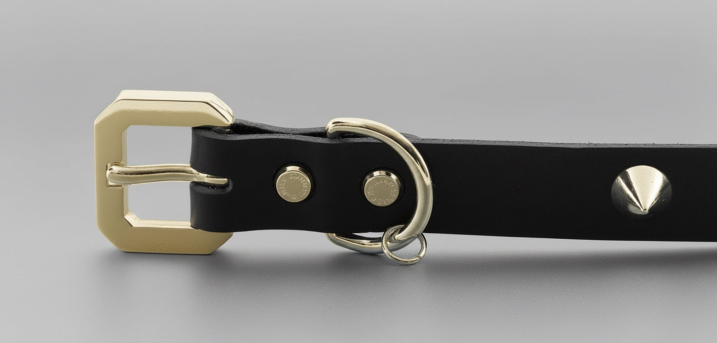 GoldSpike Elite Collar -  ObsidianGold