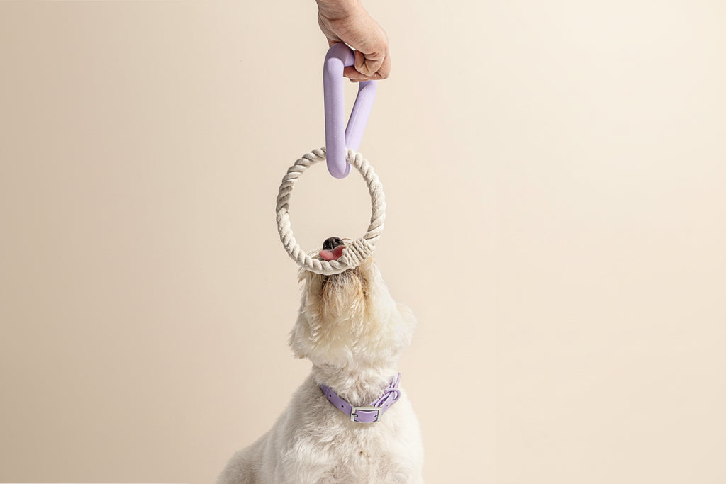 The Just-One-More WobbleLoop Tug