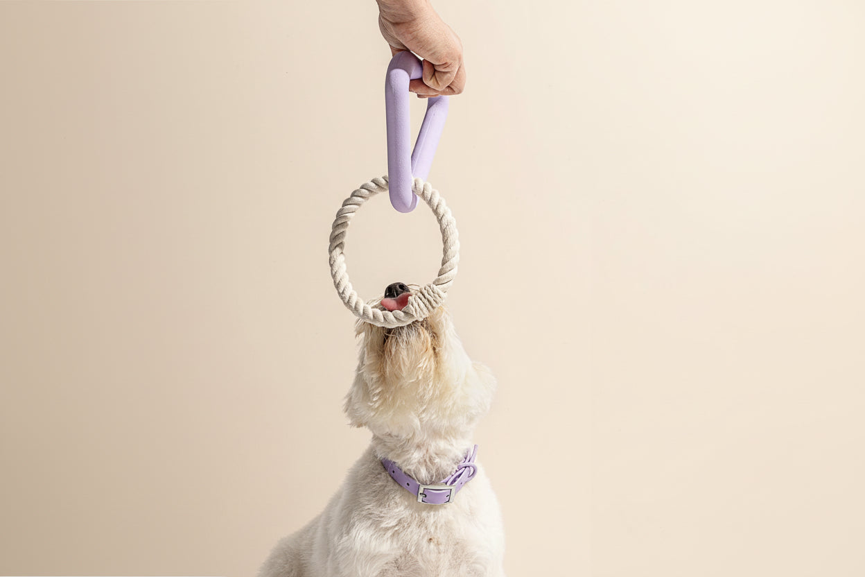 The Just-One-More WobbleLoop Tug