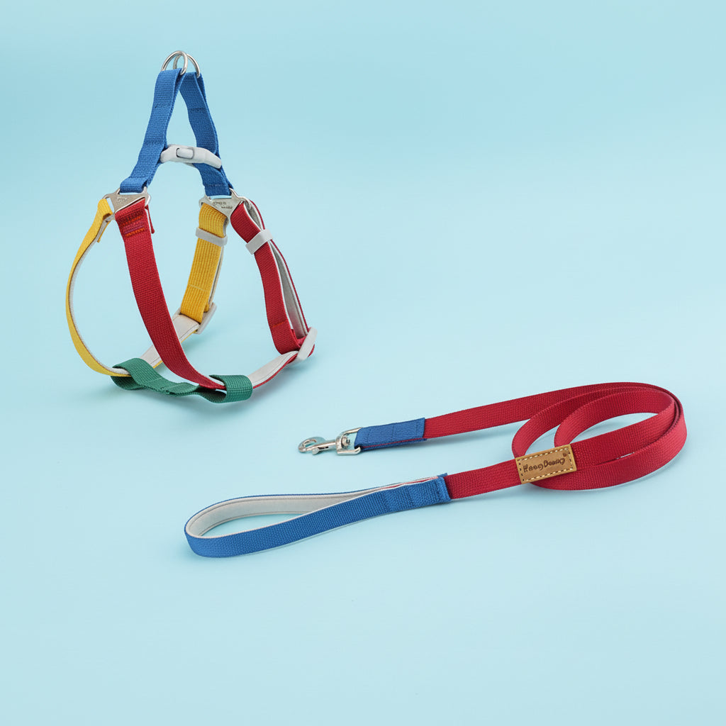 ColorStride Explorer Set