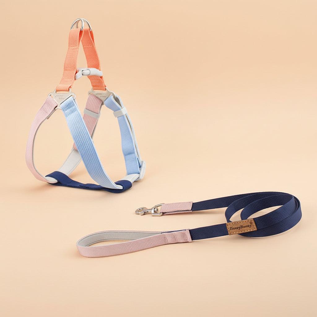 ColorStride Explorer Set