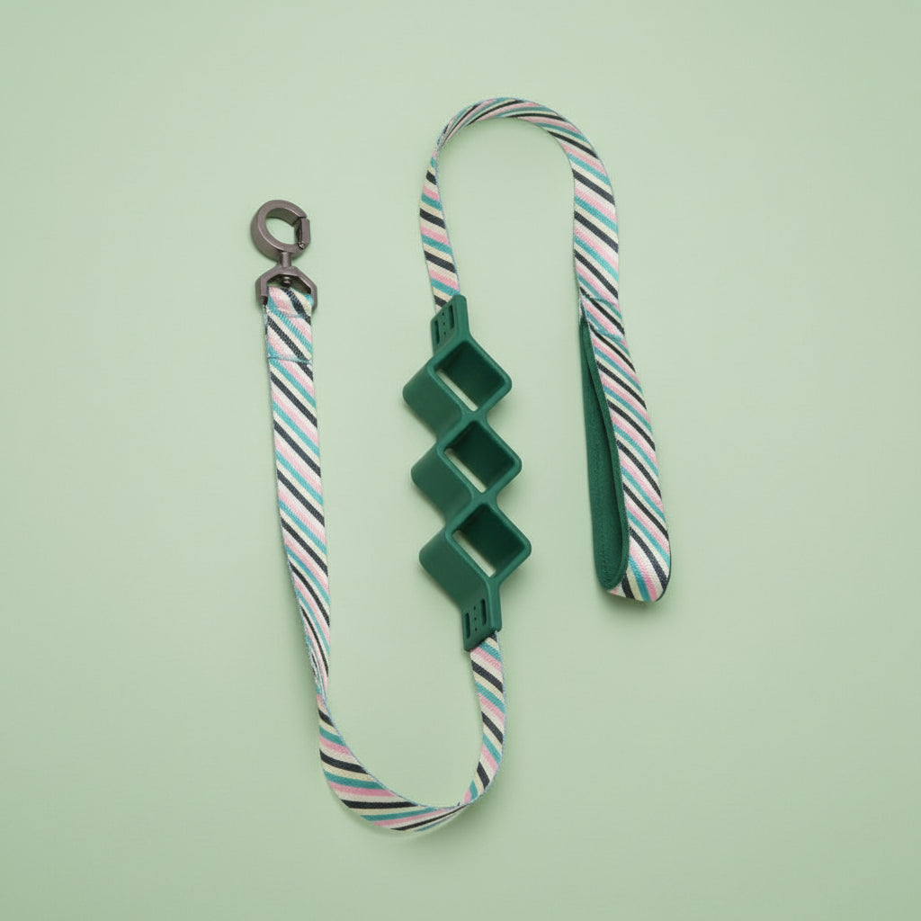 ColorSpring Flex Leash Series