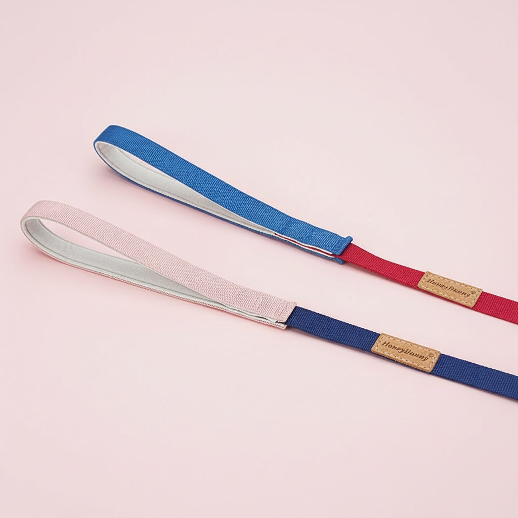 ColorStride Explorer Set