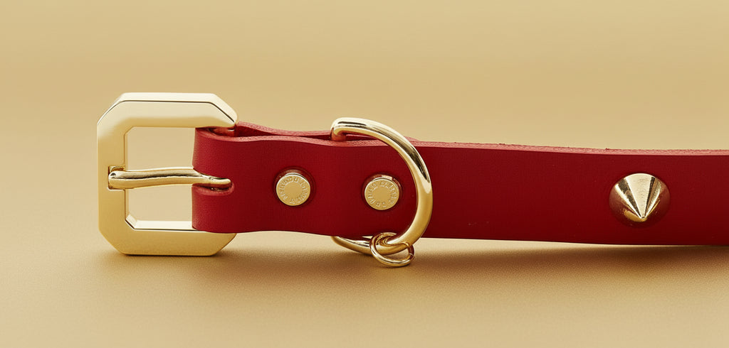 GoldSpike Elite Collar - CrimsonGold