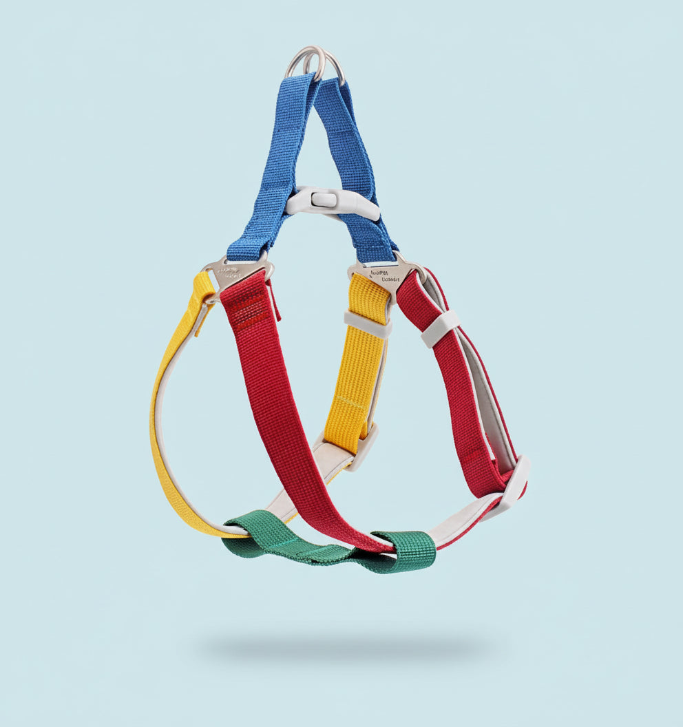 ColorStride Explorer Set