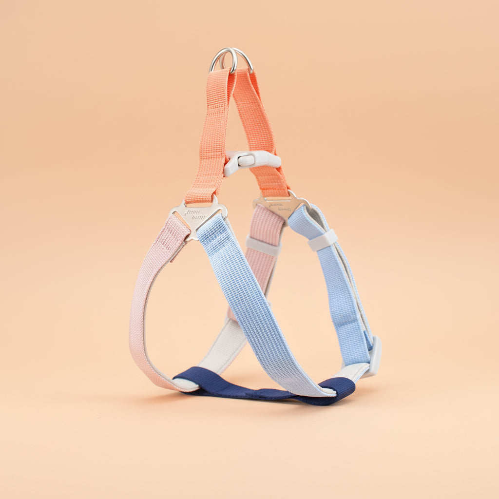 ColorStride Explorer Set